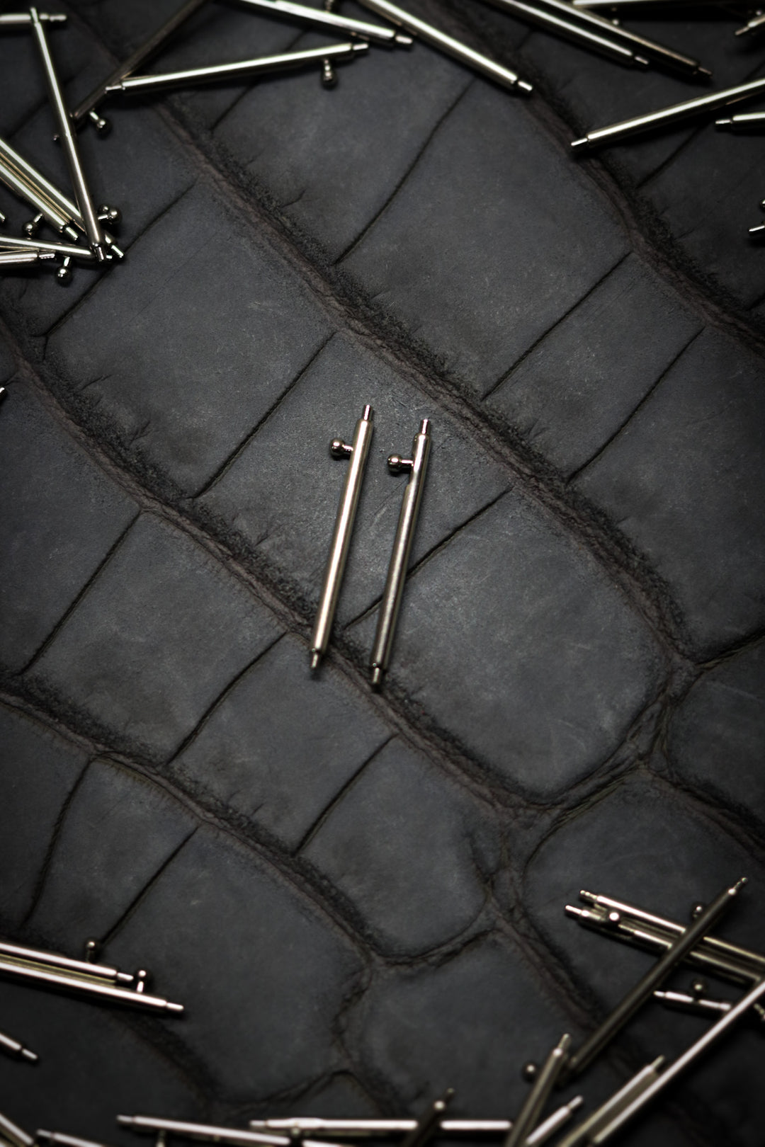 Quick Release springbars