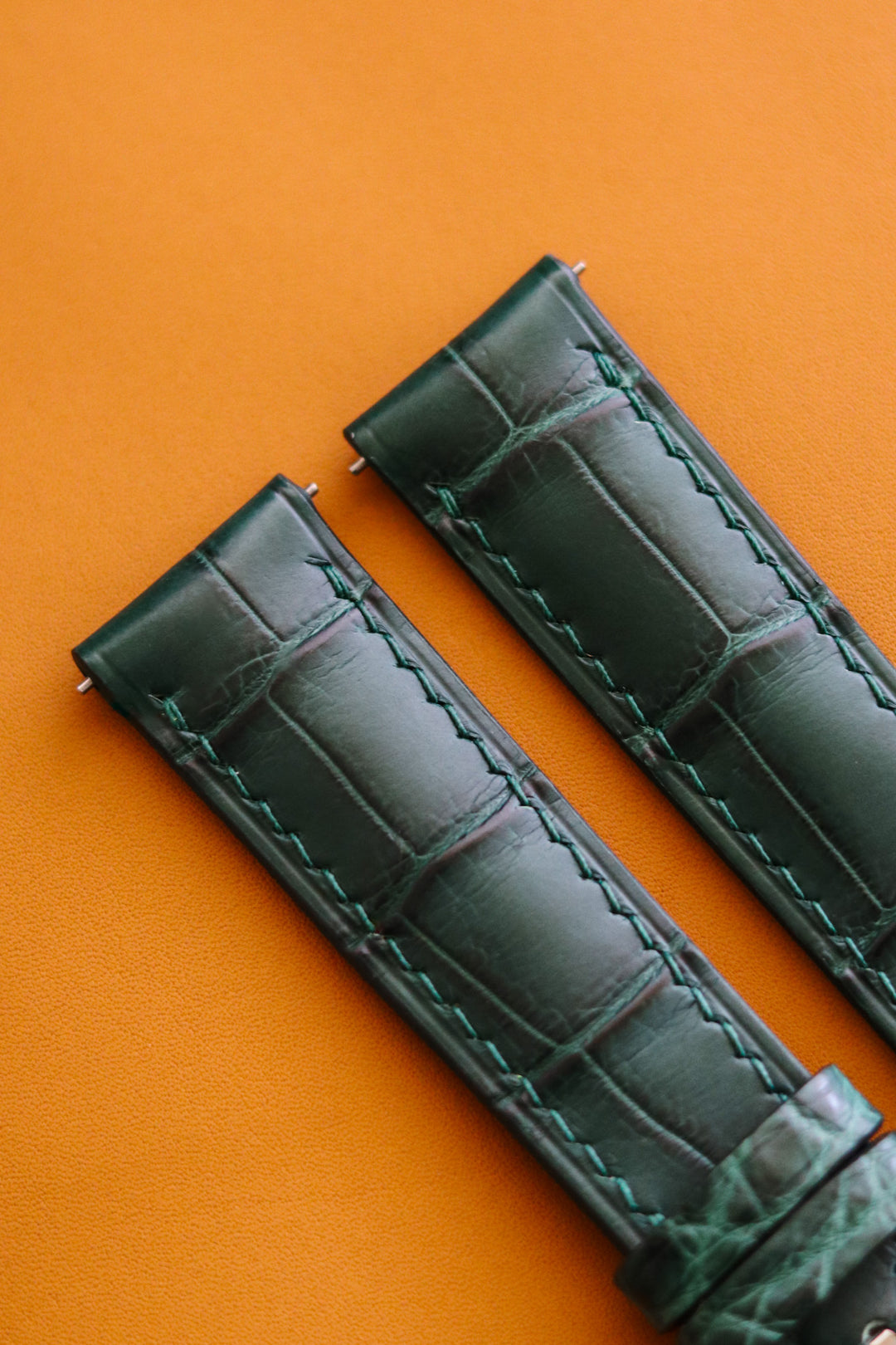 Forest Green Alligator (Padded)