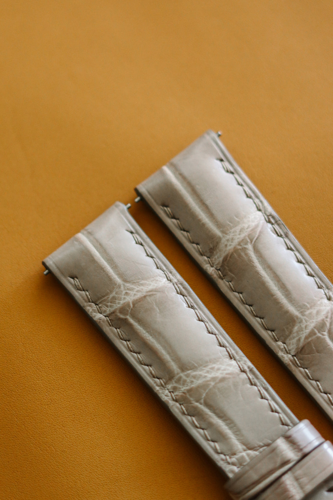 Beige Alligator (Padded)