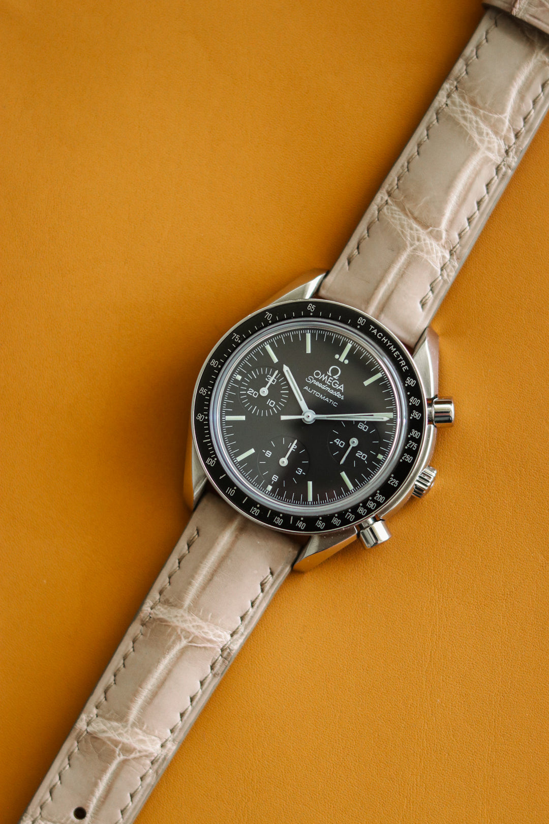 Beige Alligator (Padded)