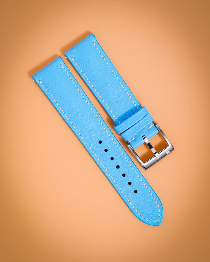 Sky Blue Swift