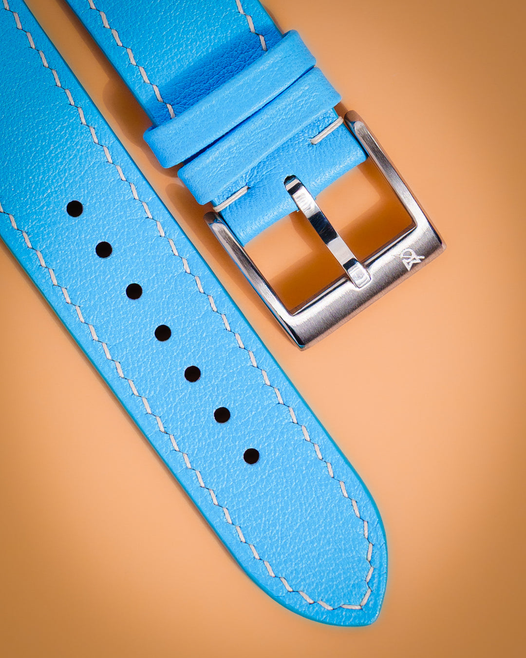 Sky Blue Swift