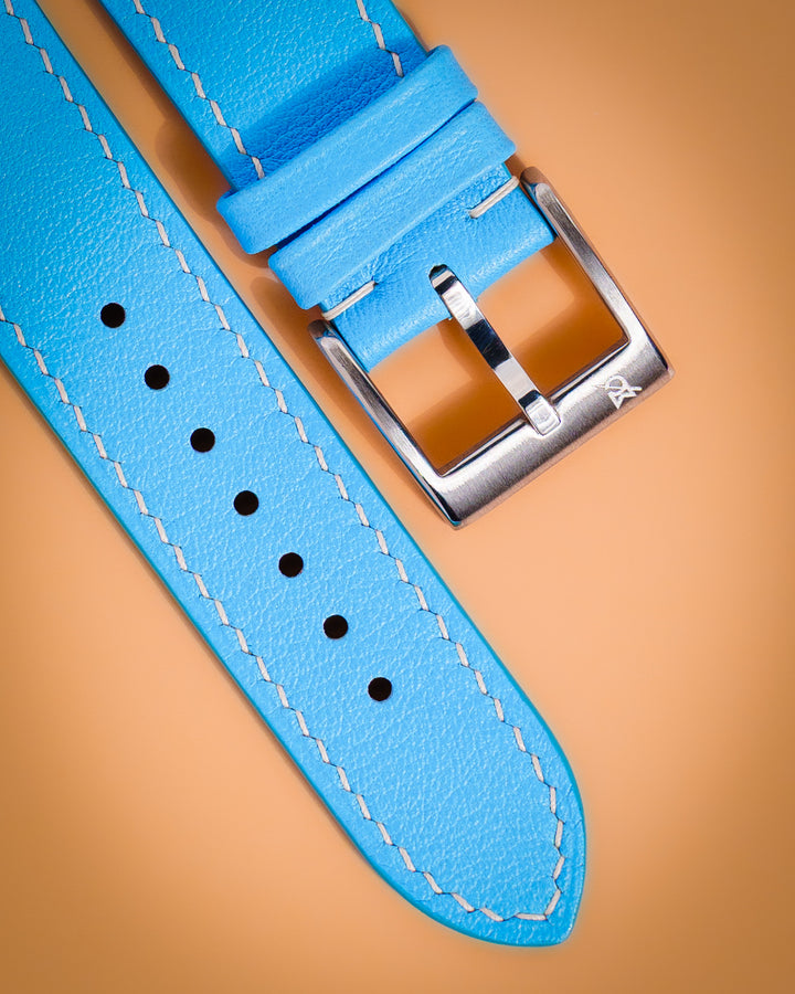 Sky Blue Swift